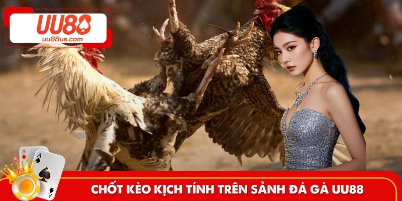 Đá gà trực tuyến Full HD