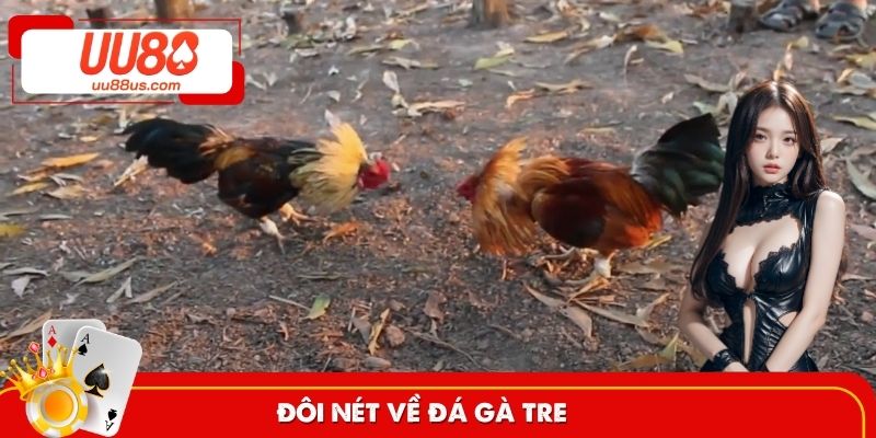 Giới thiệu về đá gà tre trên UU88