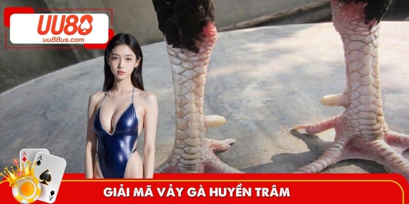 Tổng quan về vảy gà huyền trâm